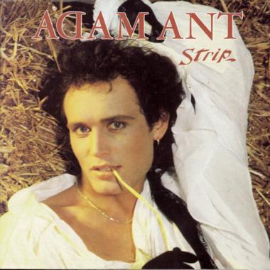 Adam Ant -  Strip